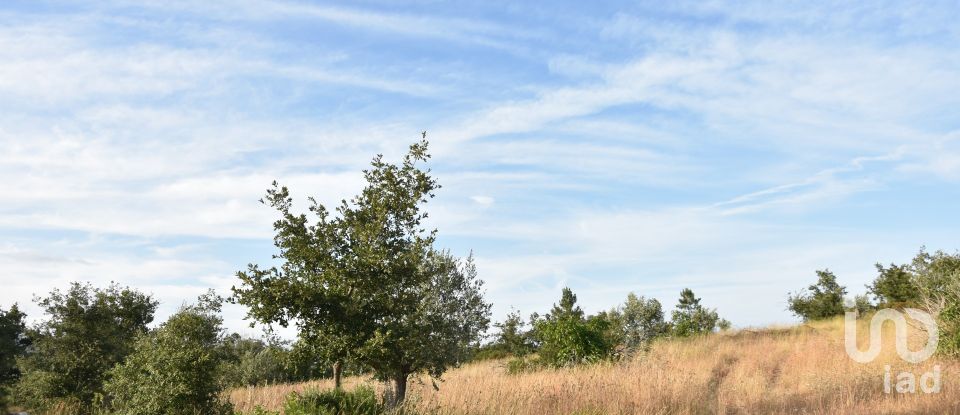 Terrain à Chãos de 8 160 m²