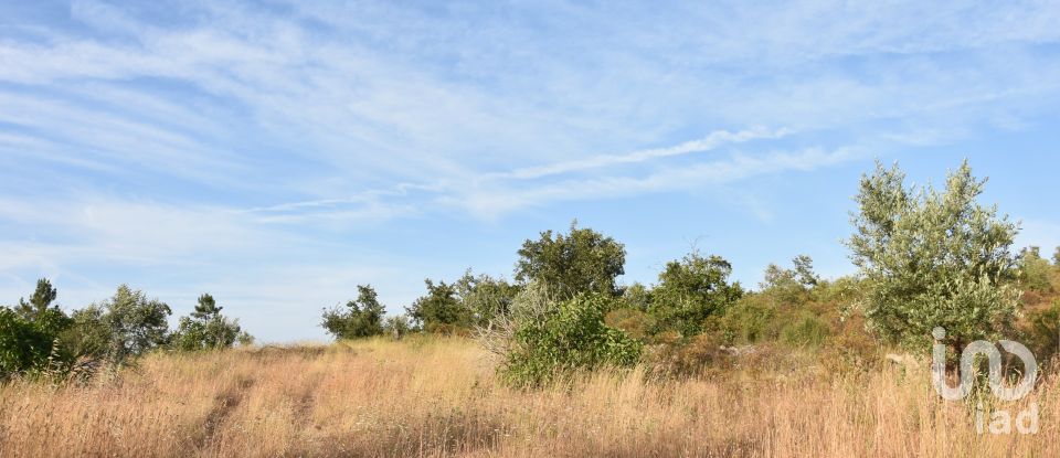 Terrain à Chãos de 8 160 m²