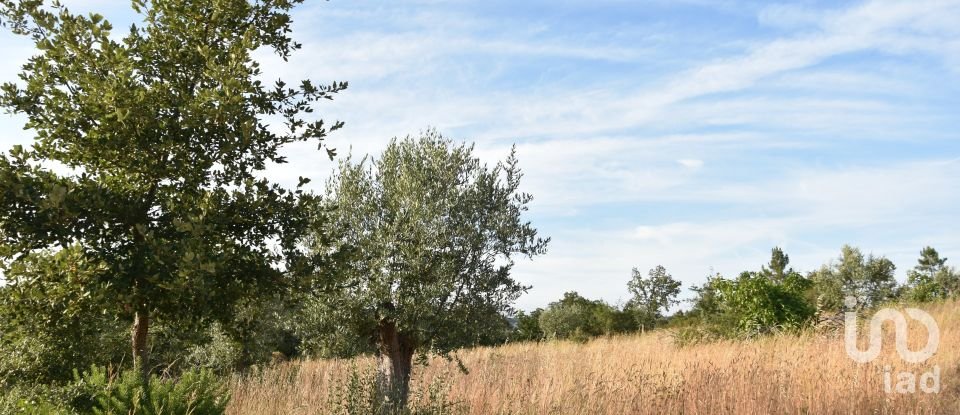 Terrain à Chãos de 8 160 m²