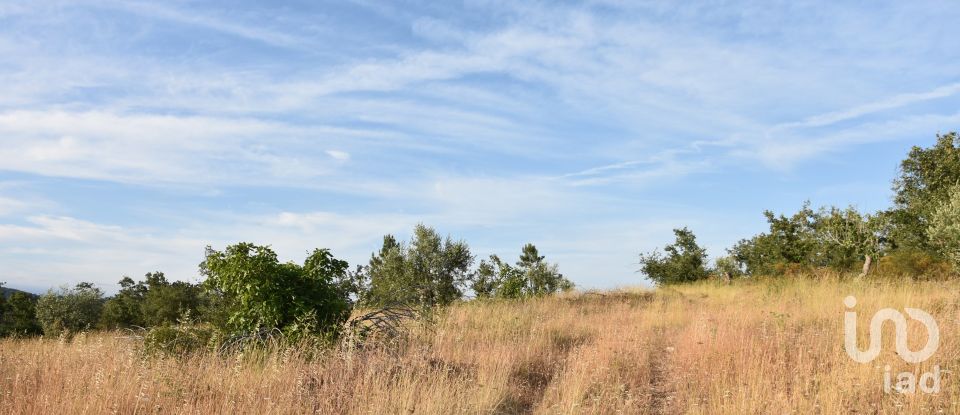 Terrain à Chãos de 8 160 m²