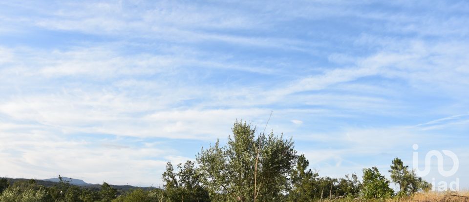 Terrain à Chãos de 8 160 m²