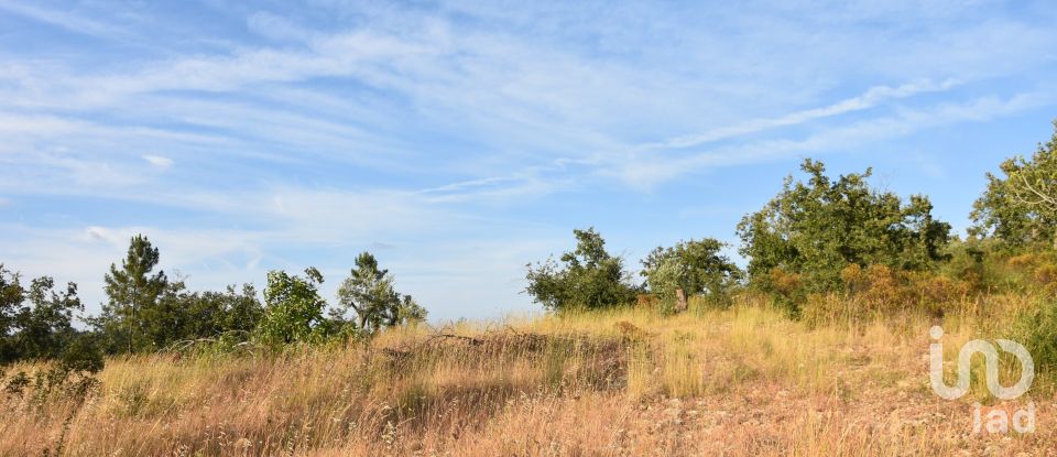 Terrain à Chãos de 8 160 m²