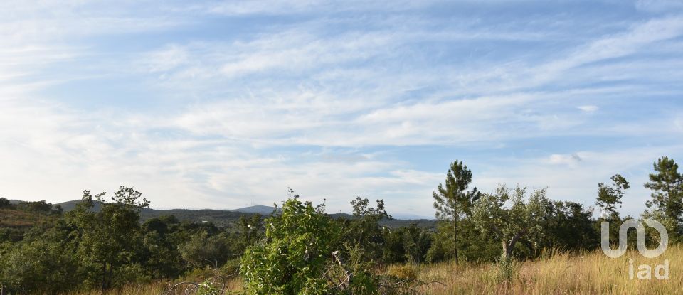 Terrain à Chãos de 8 160 m²