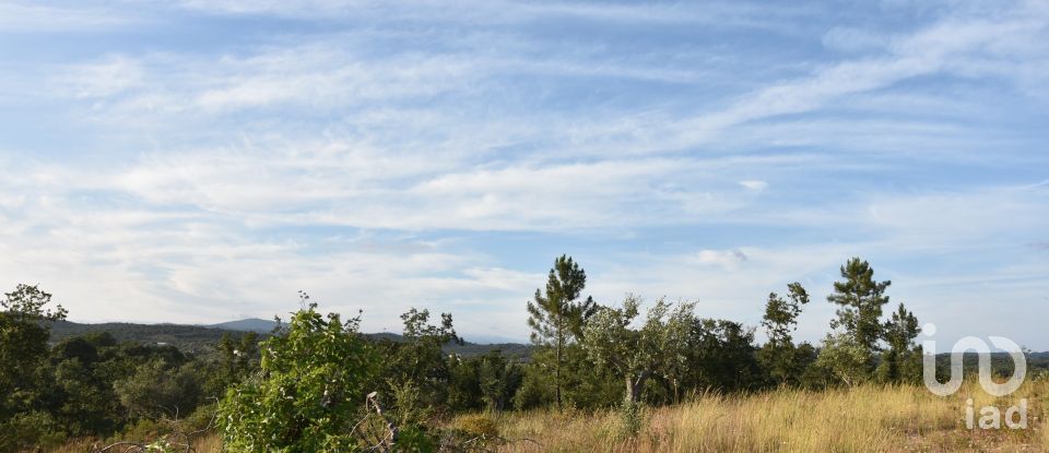 Terrain à Chãos de 8 160 m²