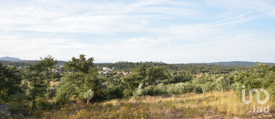 Terrain à Chãos de 8 160 m²