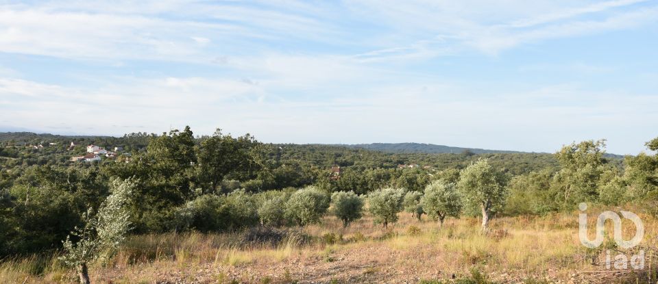 Terrain à Chãos de 8 160 m²