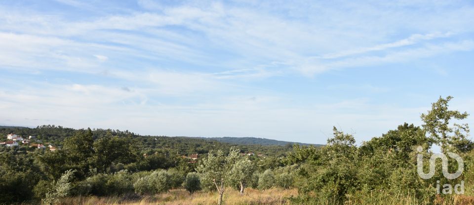 Terrain à Chãos de 8 160 m²