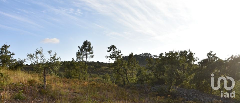 Terrain à Chãos de 8 160 m²