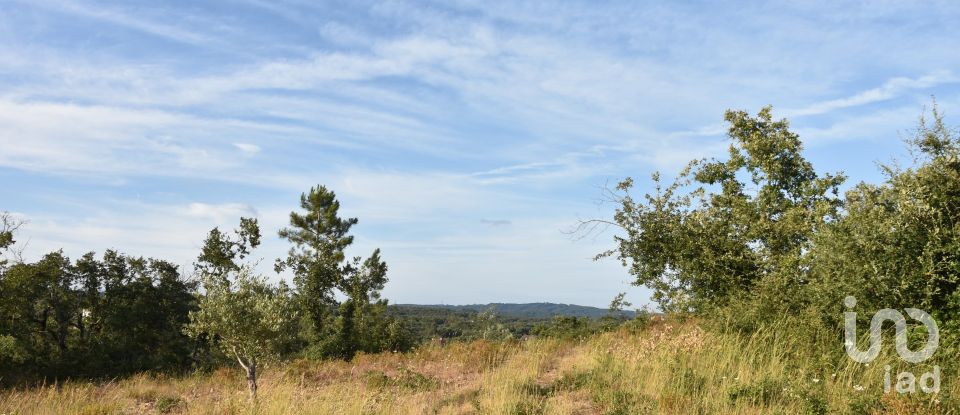 Terrain à Chãos de 8 160 m²