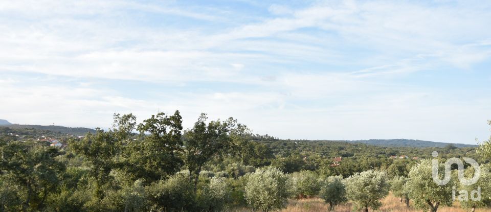 Terrain à Chãos de 8 160 m²