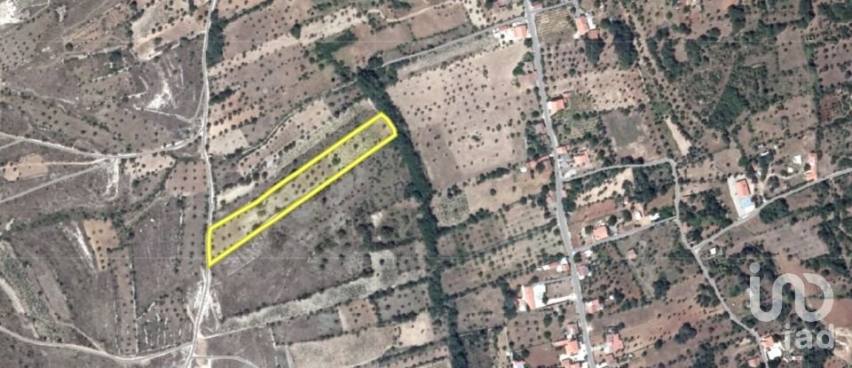 Terrain à Chãos de 8 160 m²