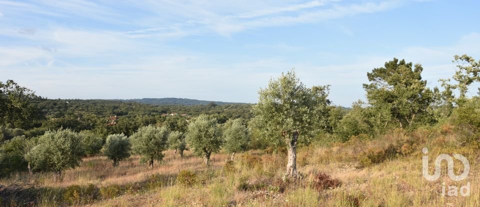 Terrain à Chãos de 8 160 m²