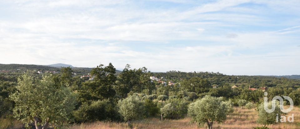 Terrain à Chãos de 8 160 m²