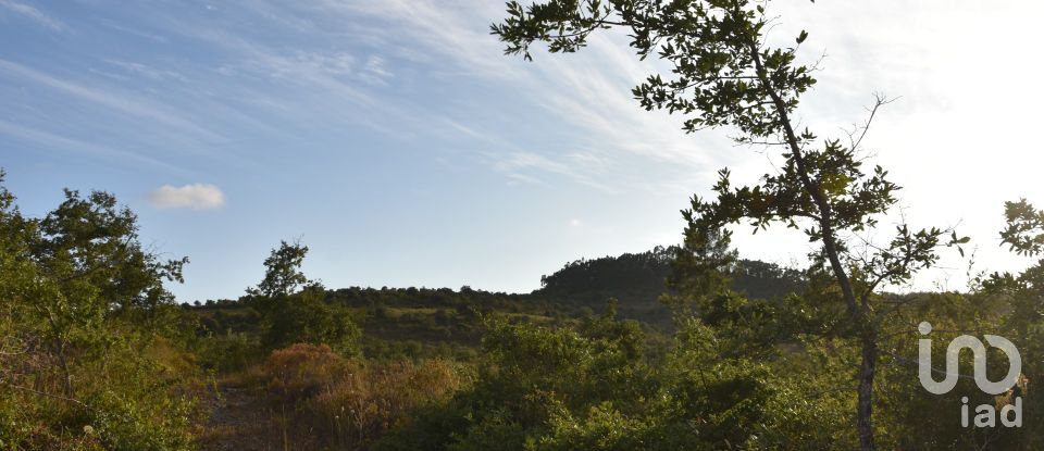 Terrain à Chãos de 8 160 m²