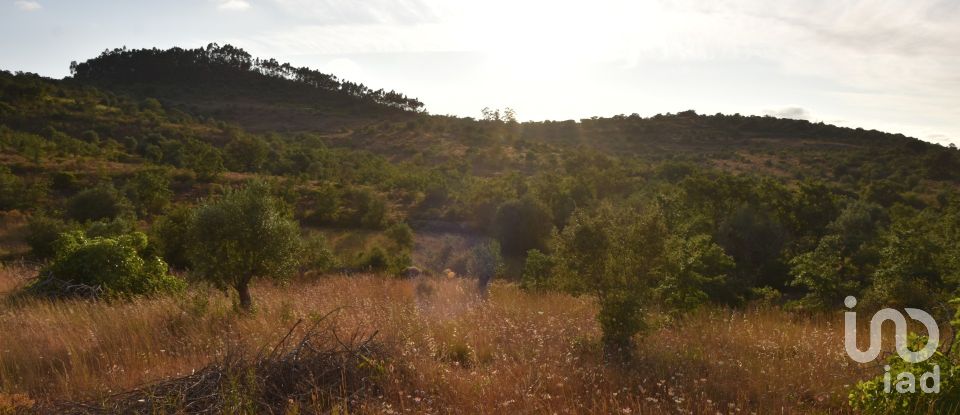 Terrain à Chãos de 8 160 m²