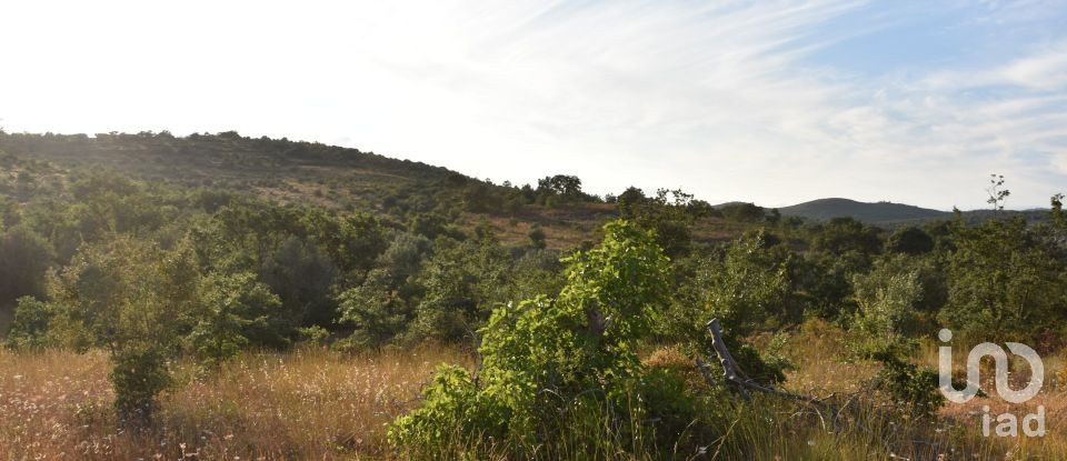 Terrain à Chãos de 8 160 m²