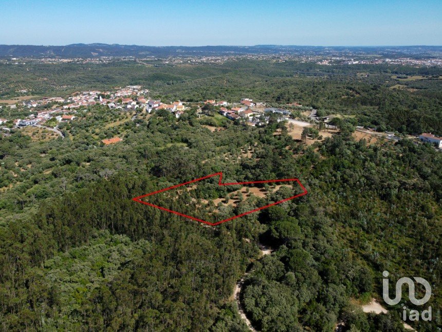 Terreno em Além da Ribeira e Pedreira de 4 480 m²