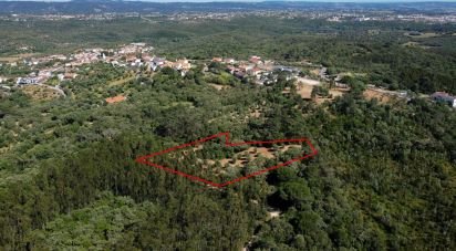 Land in Além da Ribeira e Pedreira of 4,480 m²