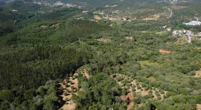 Terrain à Além da Ribeira e Pedreira de 4 480 m²