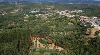 Terrain à Além da Ribeira e Pedreira de 4 480 m²