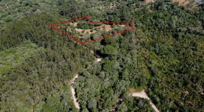 Terrain à Além da Ribeira e Pedreira de 4 480 m²