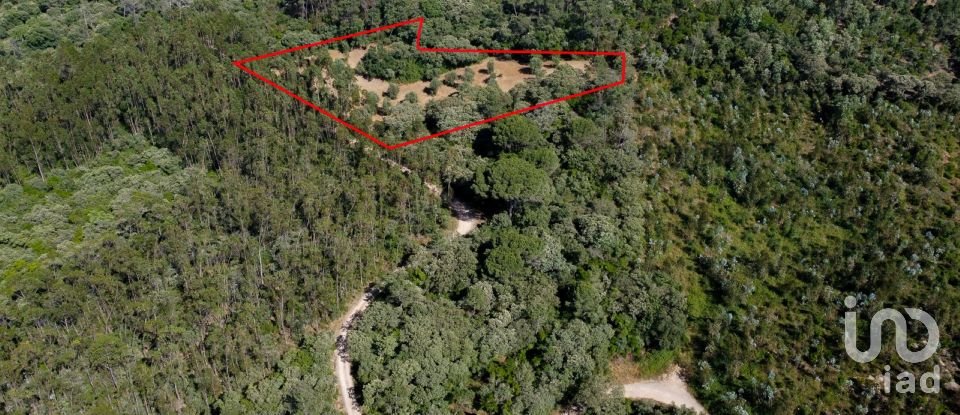 Terreno em Além da Ribeira e Pedreira de 4 480 m²