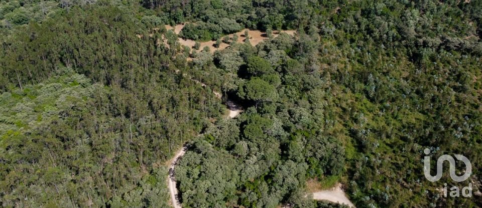 Terreno em Além da Ribeira e Pedreira de 4 480 m²