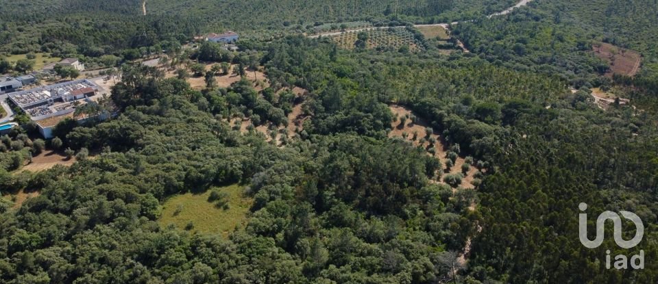 Terreno em Além da Ribeira e Pedreira de 4 480 m²