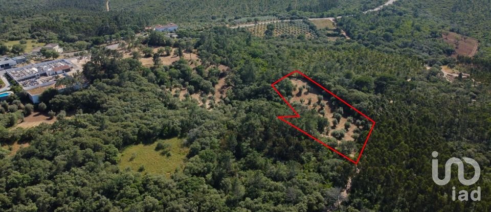 Terreno em Além da Ribeira e Pedreira de 4 480 m²