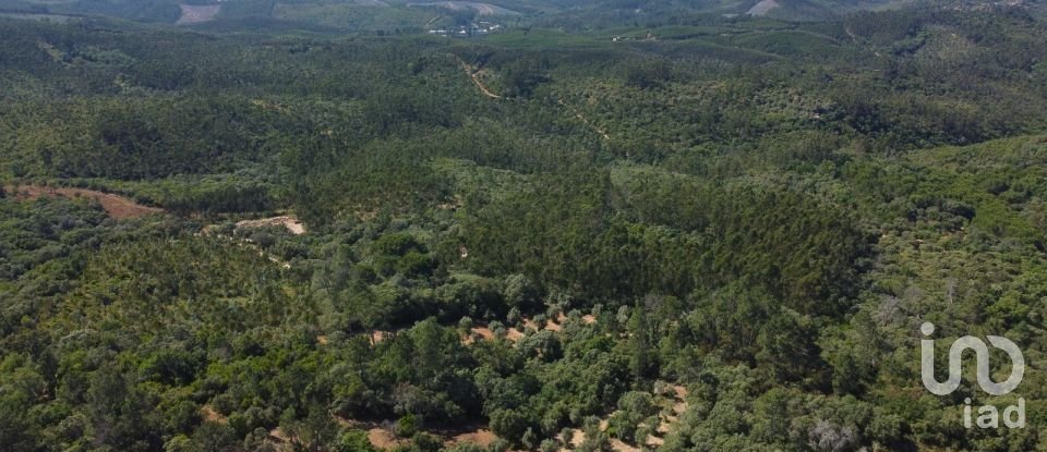 Terreno em Além da Ribeira e Pedreira de 4 480 m²