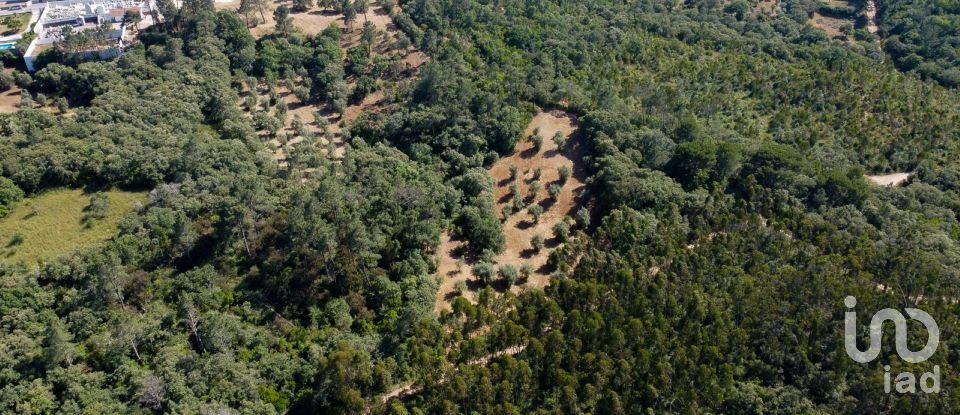 Terreno em Além da Ribeira e Pedreira de 4 480 m²