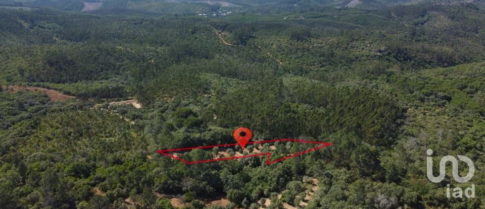 Terreno em Além da Ribeira e Pedreira de 4 480 m²
