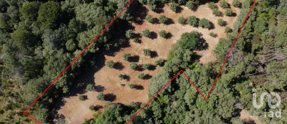 Terreno em Além da Ribeira e Pedreira de 4 480 m²