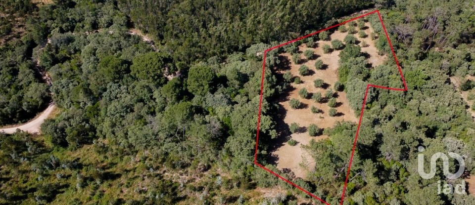 Terreno em Além da Ribeira e Pedreira de 4 480 m²