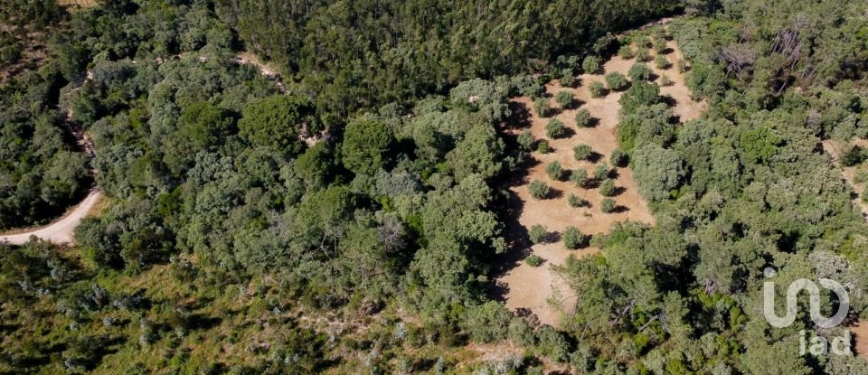Terreno em Além da Ribeira e Pedreira de 4 480 m²