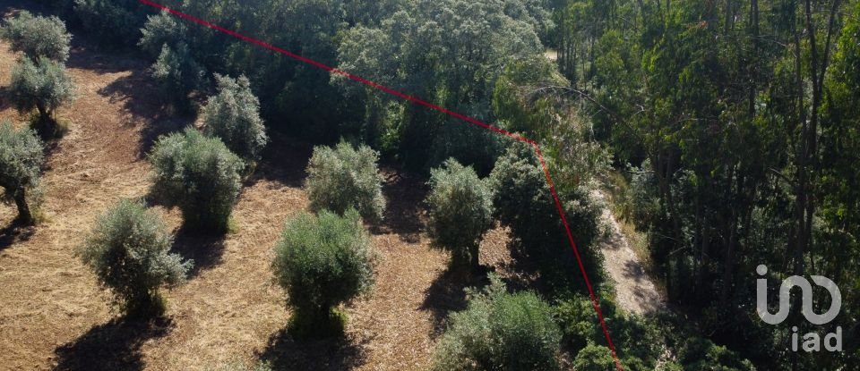 Terreno em Além da Ribeira e Pedreira de 4 480 m²