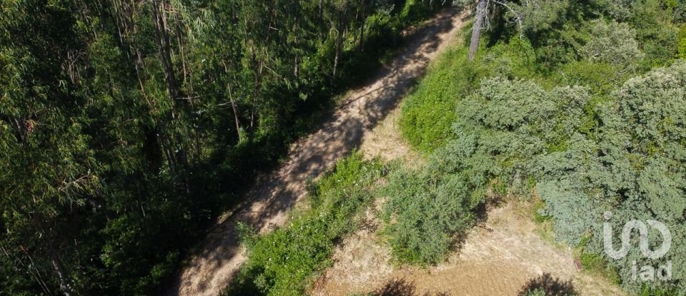 Terreno em Além da Ribeira e Pedreira de 4 480 m²