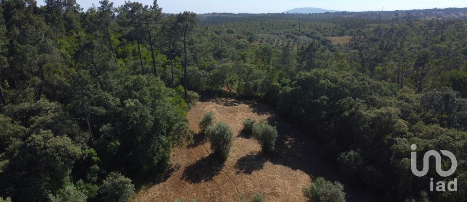 Terreno em Além da Ribeira e Pedreira de 4 480 m²