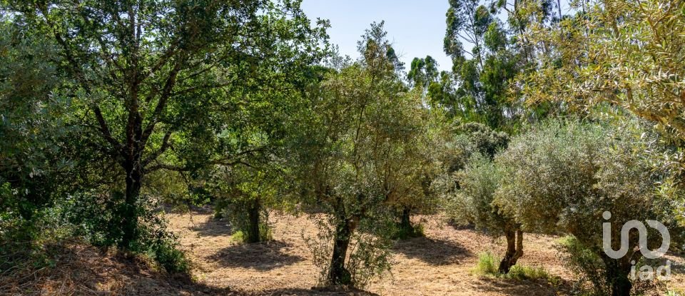 Terreno em Além da Ribeira e Pedreira de 4 480 m²