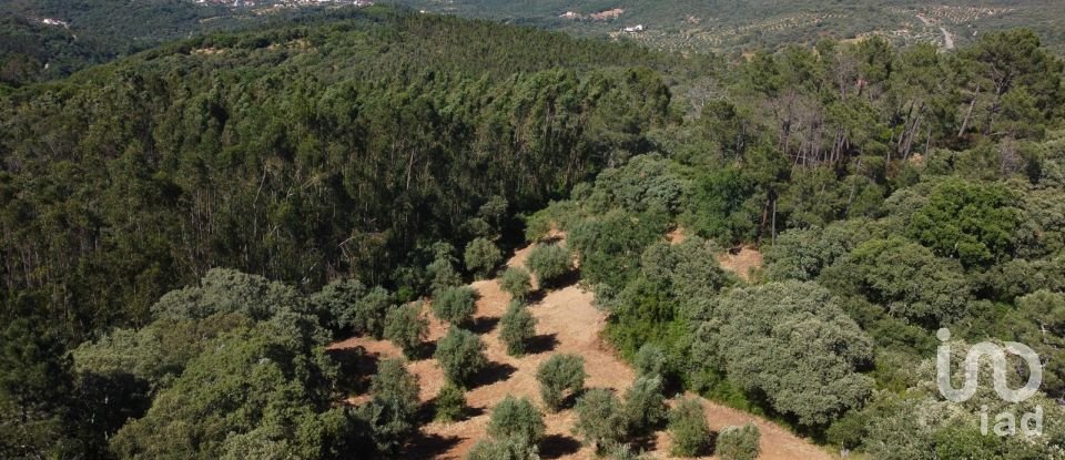 Terreno em Além da Ribeira e Pedreira de 4 480 m²