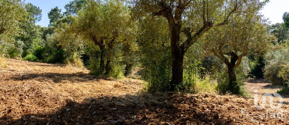 Terreno em Além da Ribeira e Pedreira de 4 480 m²