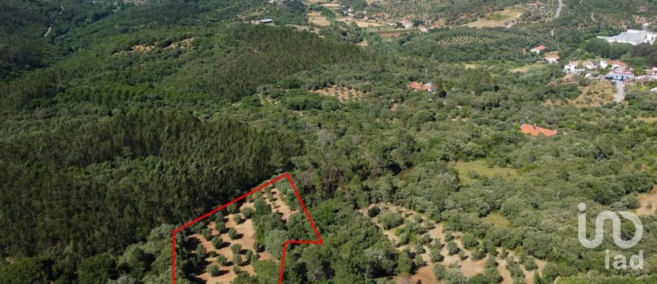 Terreno em Além da Ribeira e Pedreira de 4 480 m²