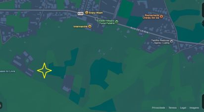 Terrain à Vieira de Leiria de 12 270 m²