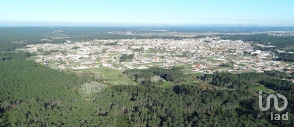 Land in Vieira de Leiria of 12,270 m²