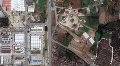 Terrain à Vieira de Leiria de 12 270 m²