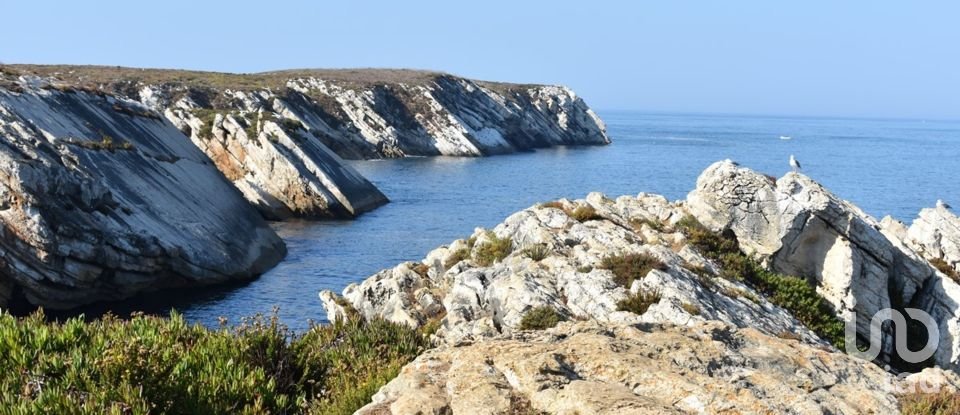 Lodge T3 in Atouguia da Baleia of 104 m²