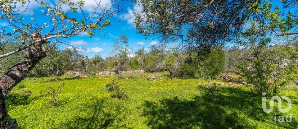 Casa T4 em Querença, Tôr e Benafim de 140 m²