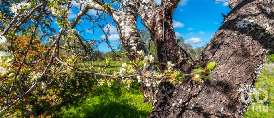 Casa T4 em Querença, Tôr e Benafim de 140 m²