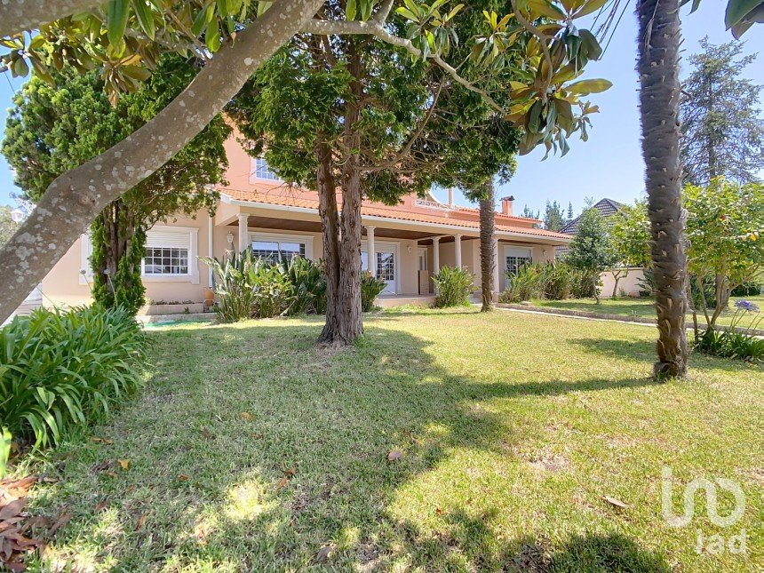 House T5 in Meirinhas of 640 m²