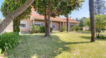 House T5 in Meirinhas of 640 m²